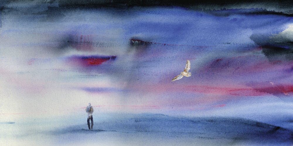 Un vol au crépuscule de rêve - RodMacIver