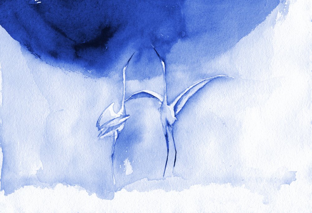 Élégantes grues bleues - RodMacIver