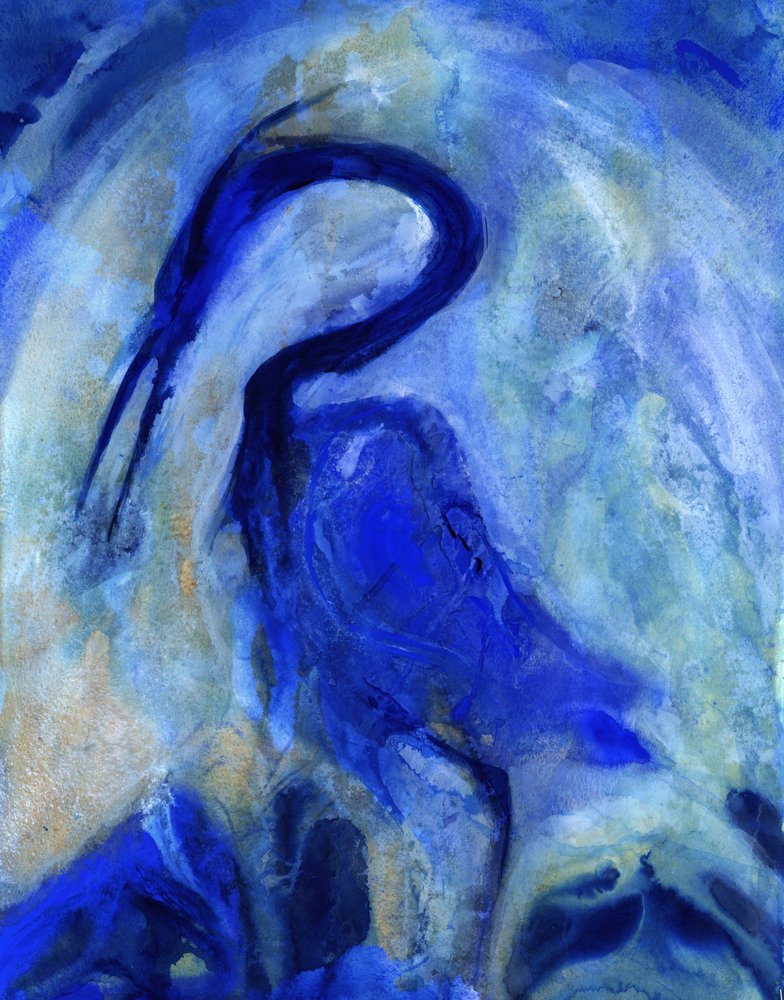 Élégant héron bleu - RodMacIver