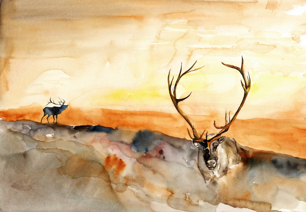 Chaque coucher de soleil doré - RodMacIver