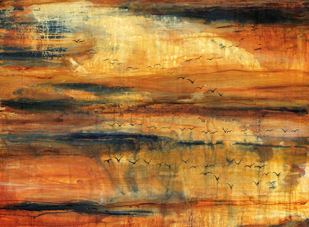 Les oiseaux du ciel doré - RodMacIver
