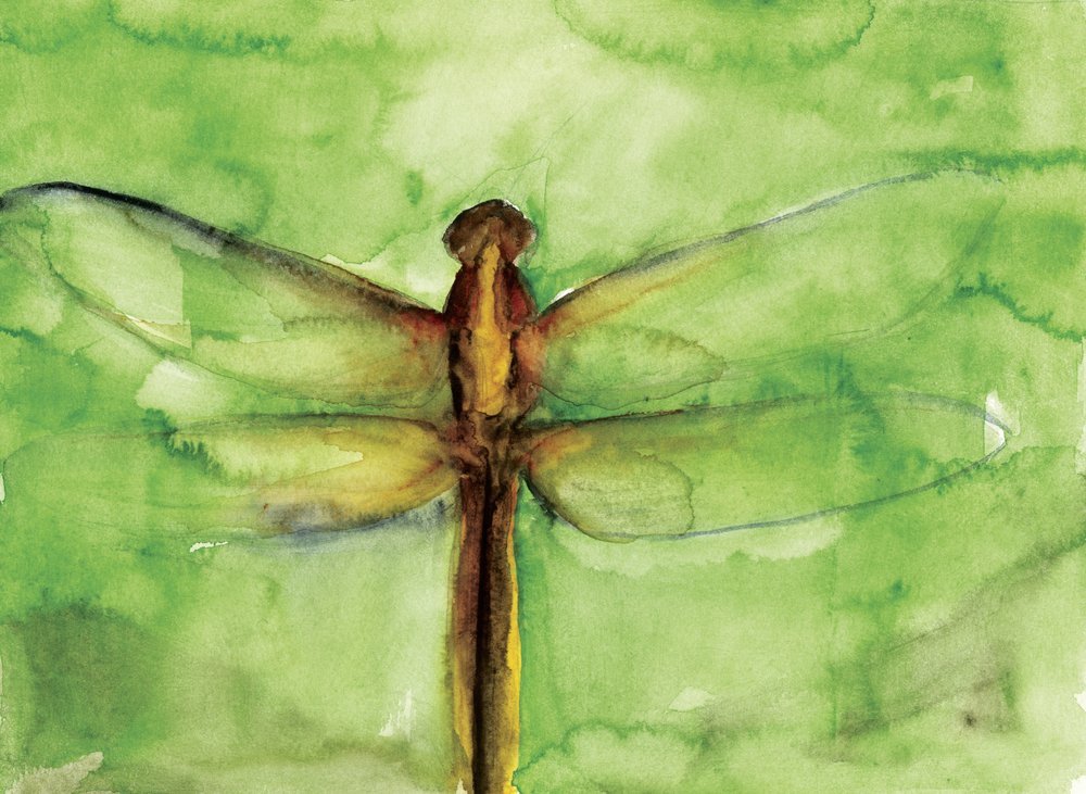 Aquarelle « Libellule verte » - RodMacIver