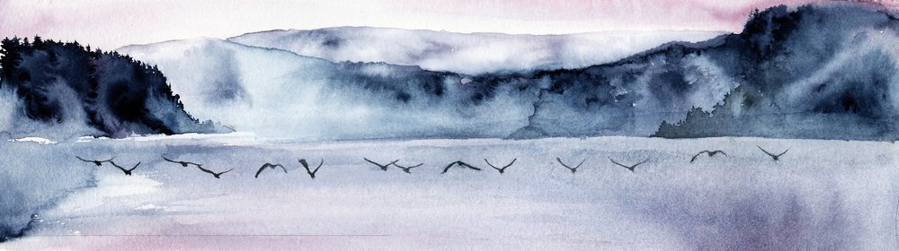 Le vol des oiseaux des montagnes brumeuses - RodMacIver