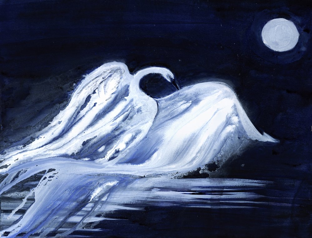 Cygne au clair de lune - RodMacIver