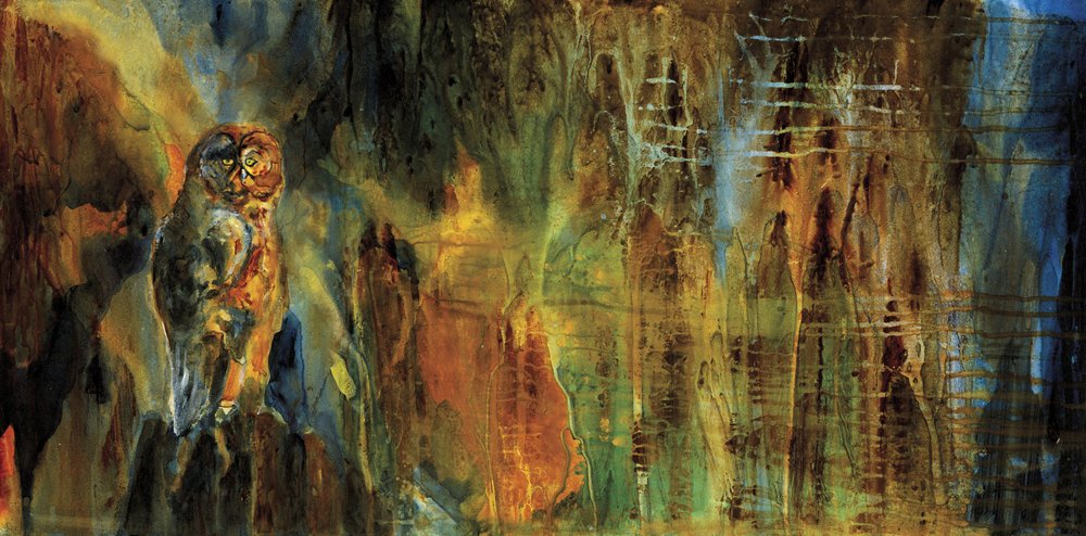 La mystérieuse chouette des bois - RodMacIver