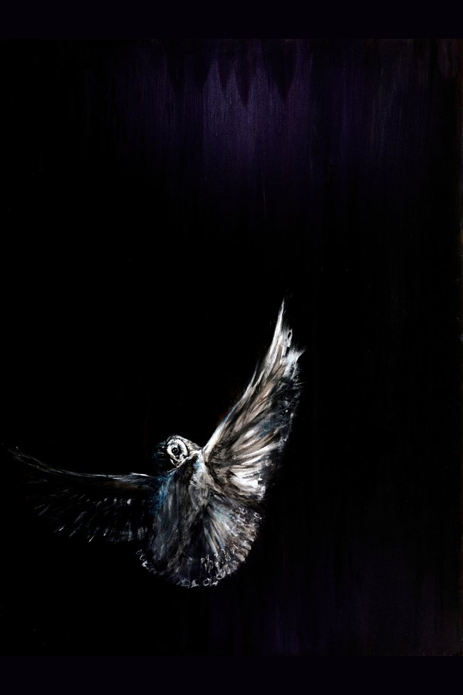Le vol nocturne des hiboux - RodMacIver