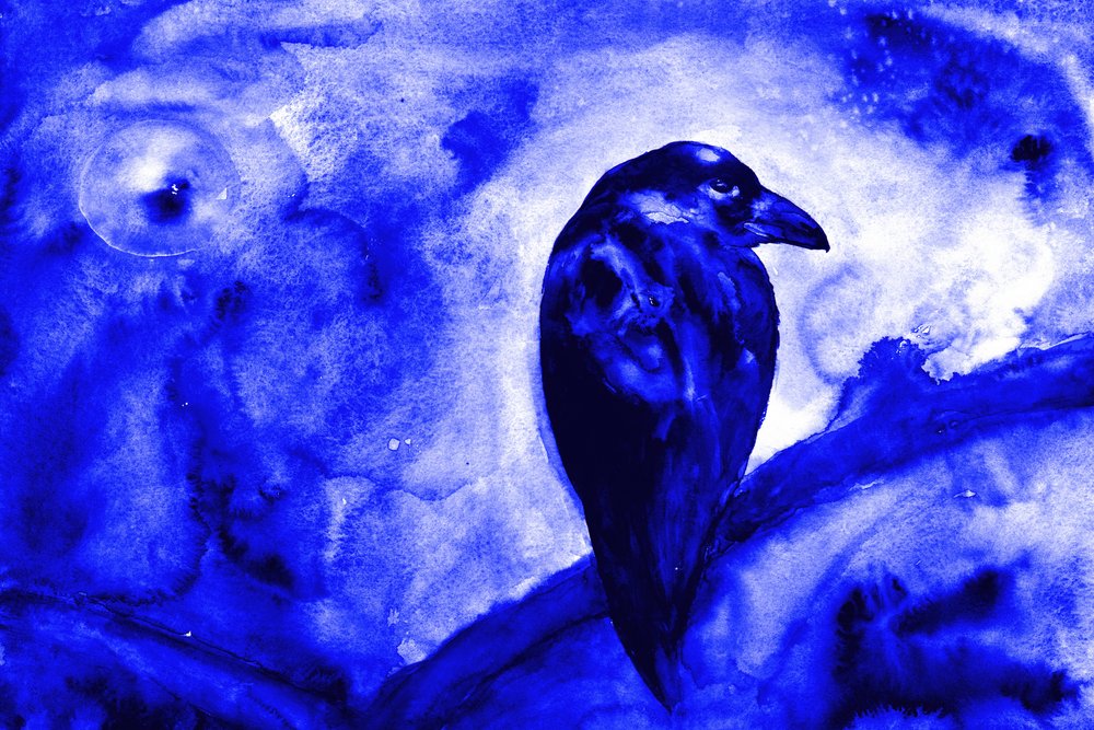 Un corbeau au clair de lune - RodMacIver