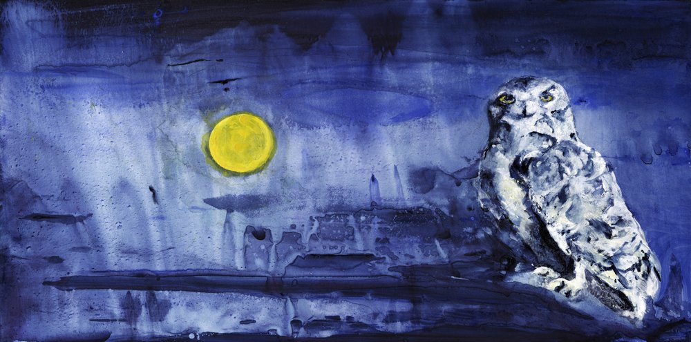 Le hibou des neiges au clair de lune - RodMacIver