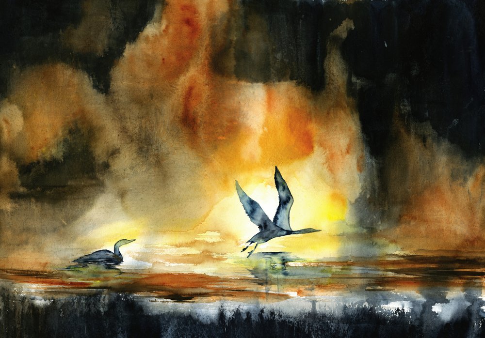 Oiseaux aquatiques au coucher du soleil - RodMacIver