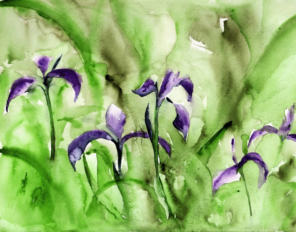 Un jardin d