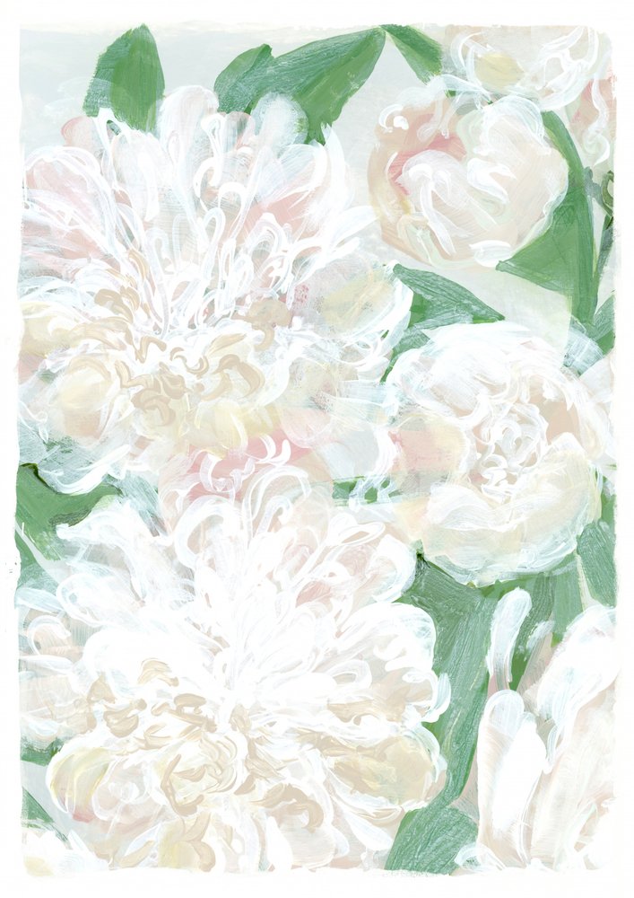 Pivoines blanches délicates - Rosana Laiz Blursbyai