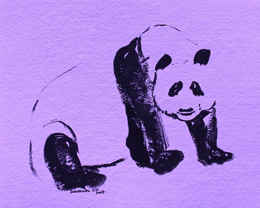 Panda à l