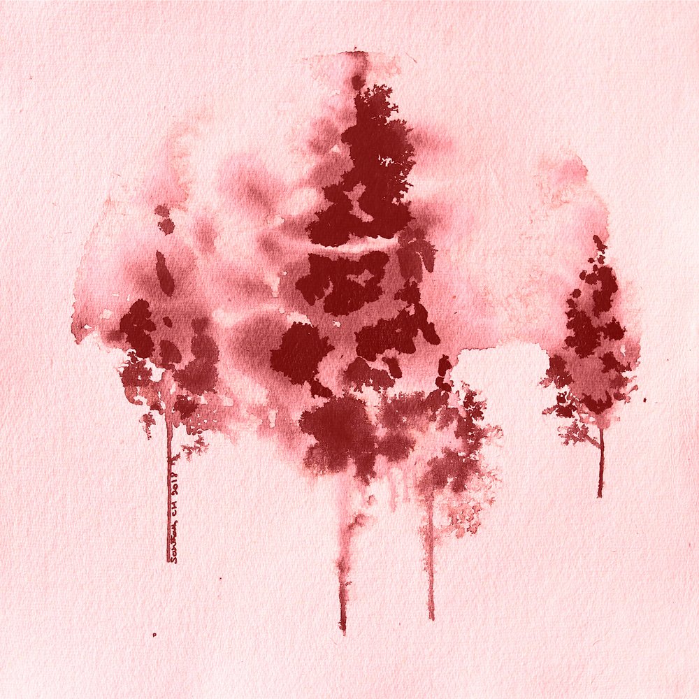 Brume cramoisie dans la forêt - Santhosh ch