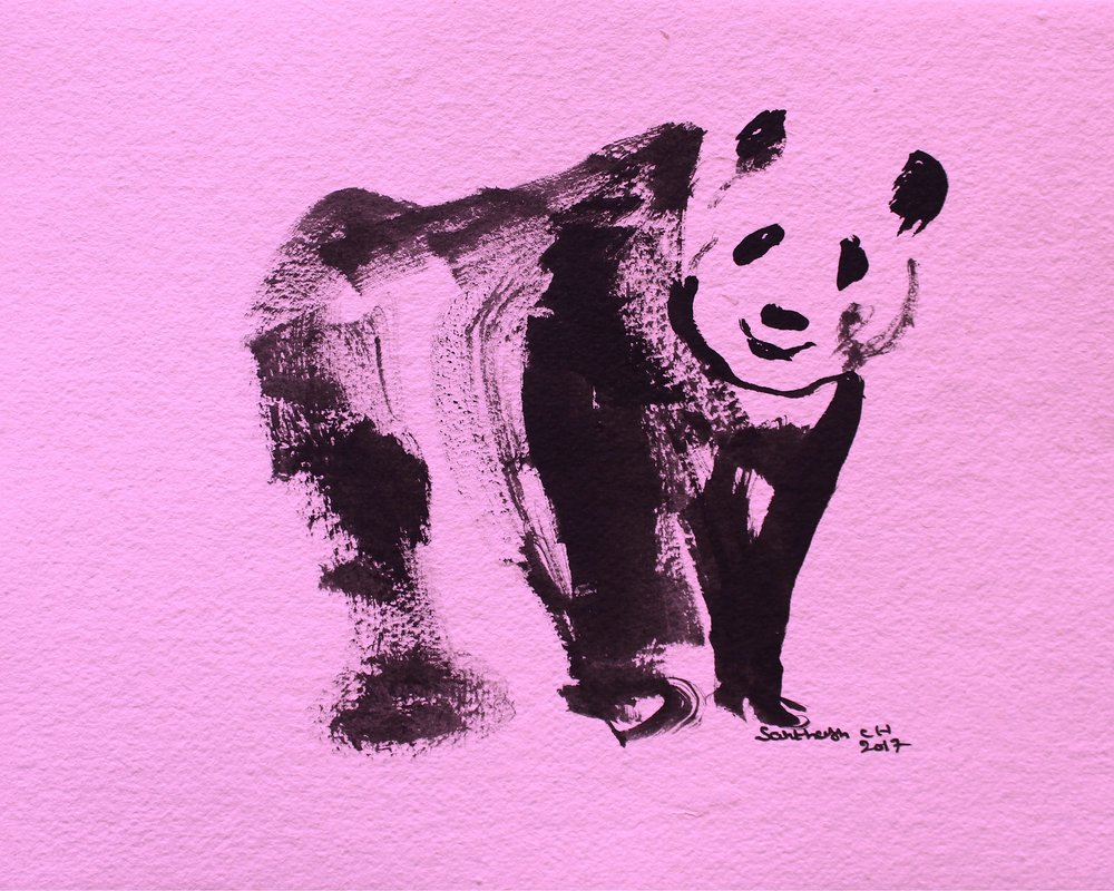 Mignon panda rose - Santhosh ch