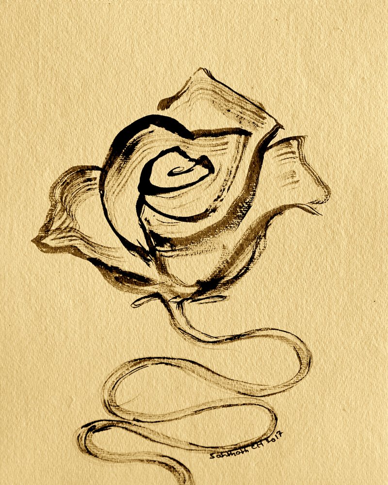 Rose fluide et élégante - Santhosh ch