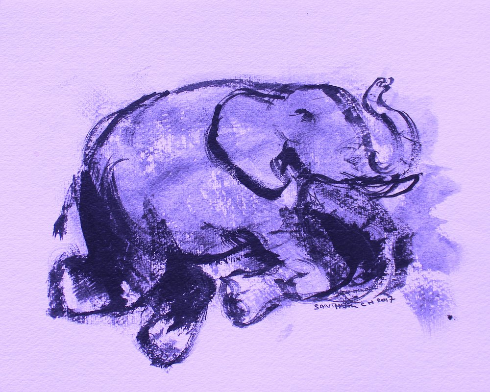 Éléphant 42 - Santhosh ch