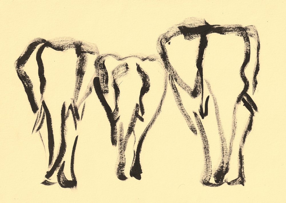 Croquis d
