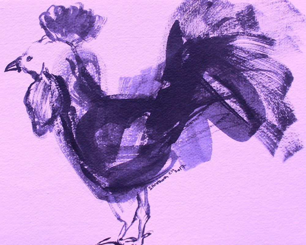 Coq violet expressif - Santhosh ch