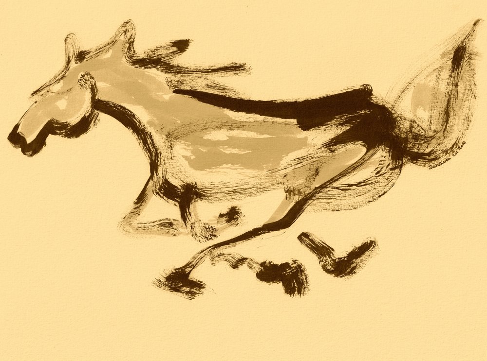 Mouvement de cheval au galop - Santhosh ch