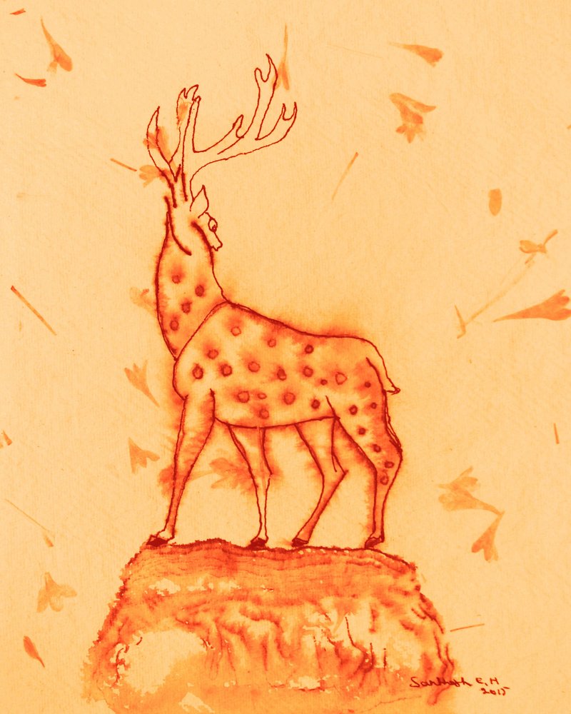 Le majestueux cerf tacheté - Santhosh ch