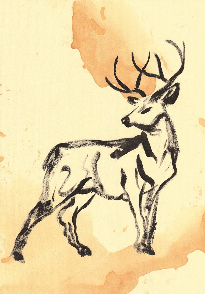 Majestueux cerf à l