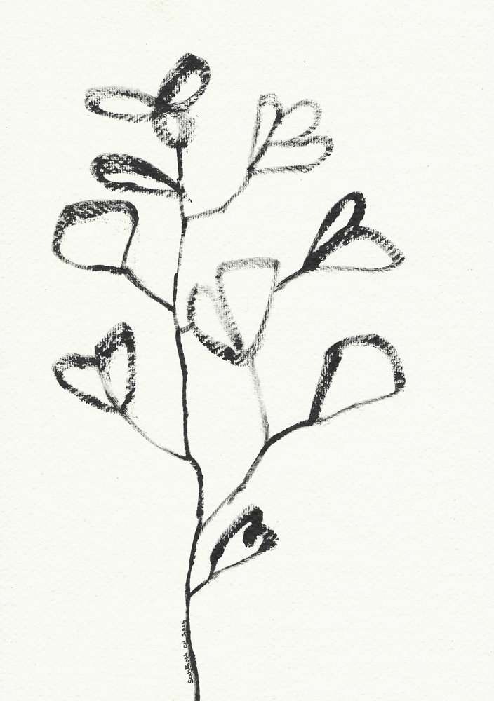 Dessin organique de feuille - Santhosh ch