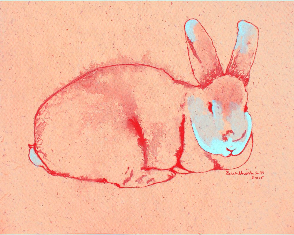 Lapin pastel - Santhosh ch
