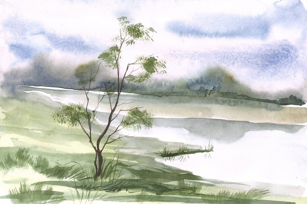 Un arbre au bord d