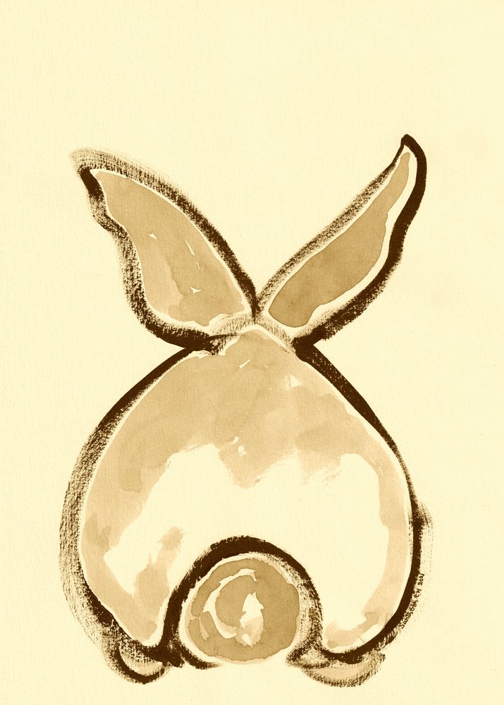 Dos espiègle de lapin - Santhosh ch