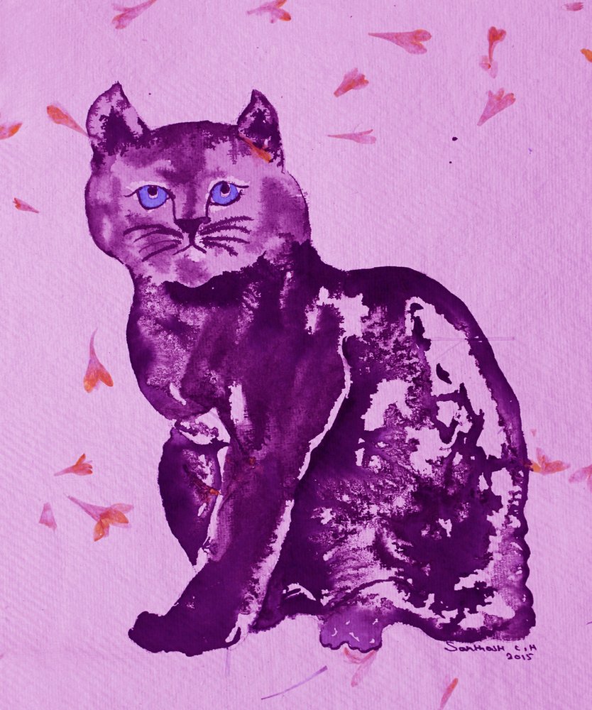 Chat violet et pétales - Santhosh ch