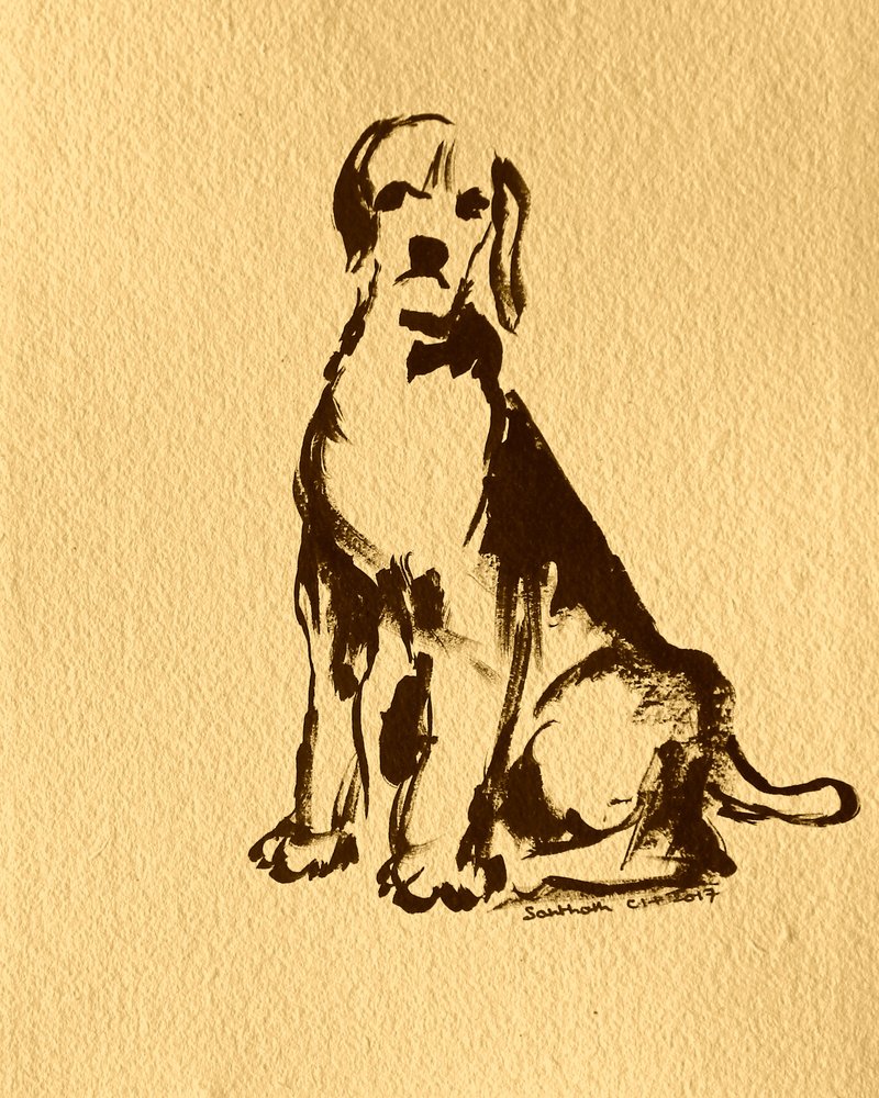 Croquis de beagle assis - Santhosh ch