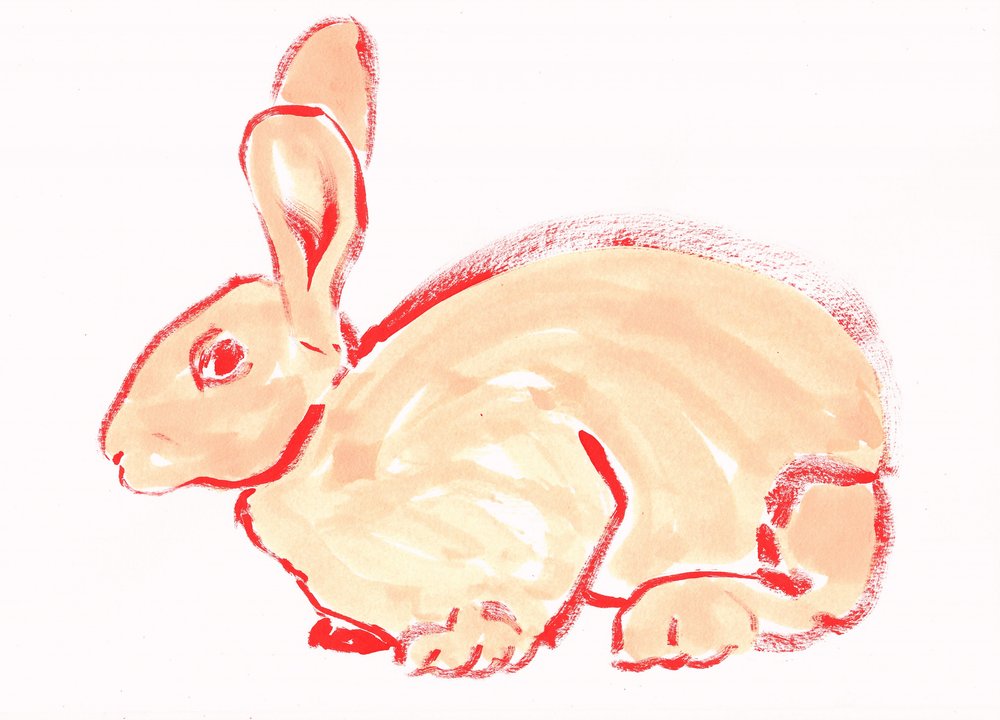 Doux lapin orange - Santhosh ch