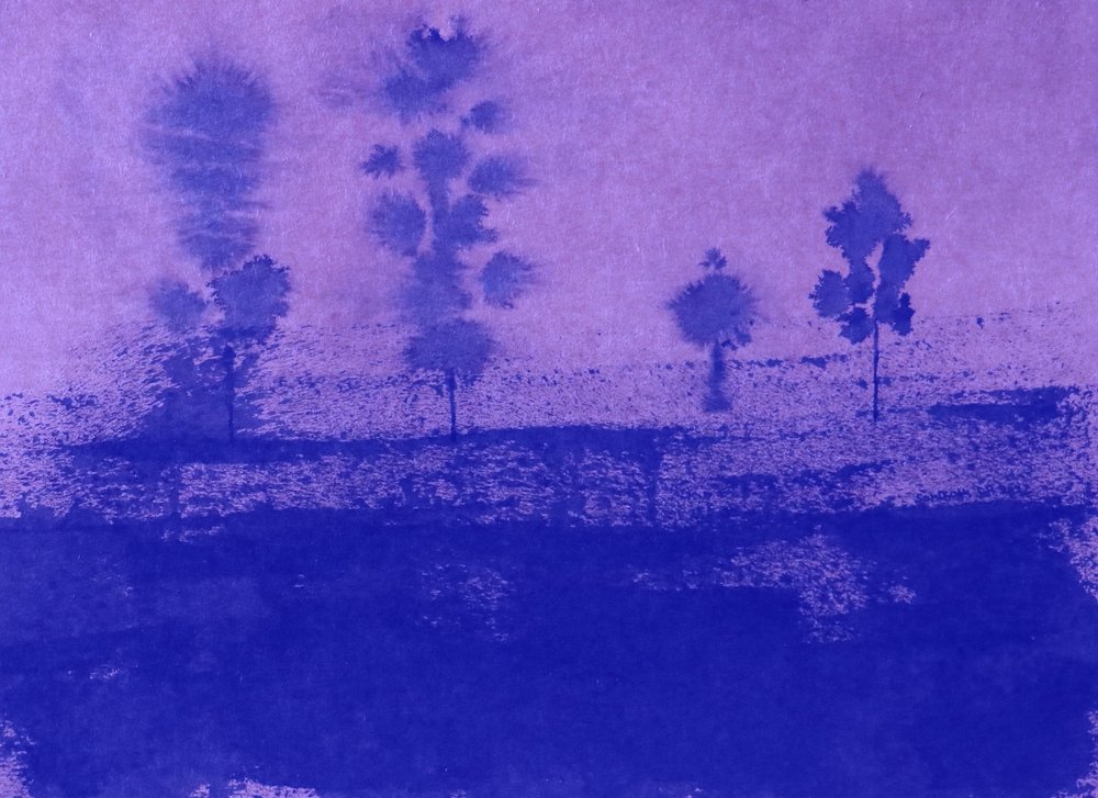 Silhouettes du crépuscule - Santhosh ch