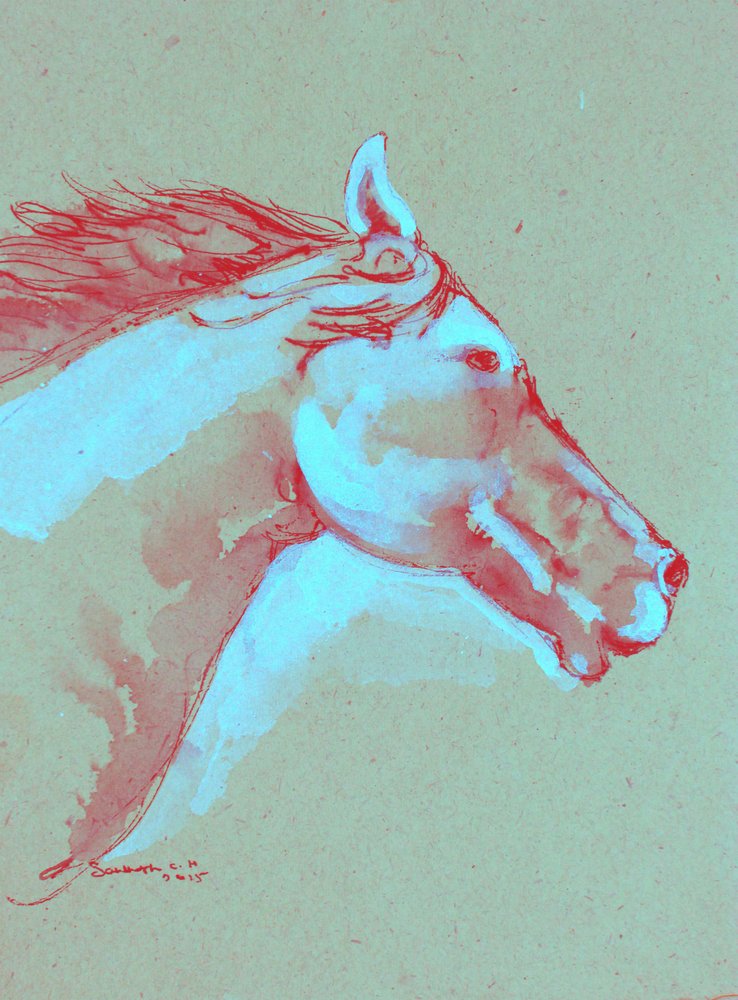 Tête de cheval aux couleurs vives - Santhosh ch