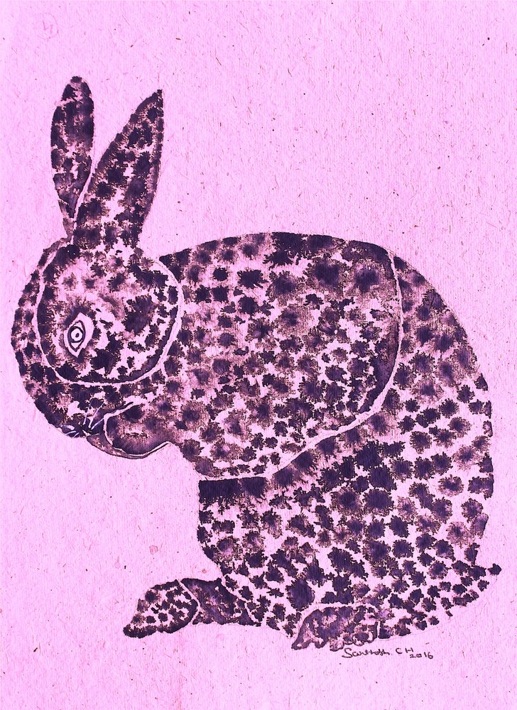 Lapin tacheté fantaisiste - Santhosh ch