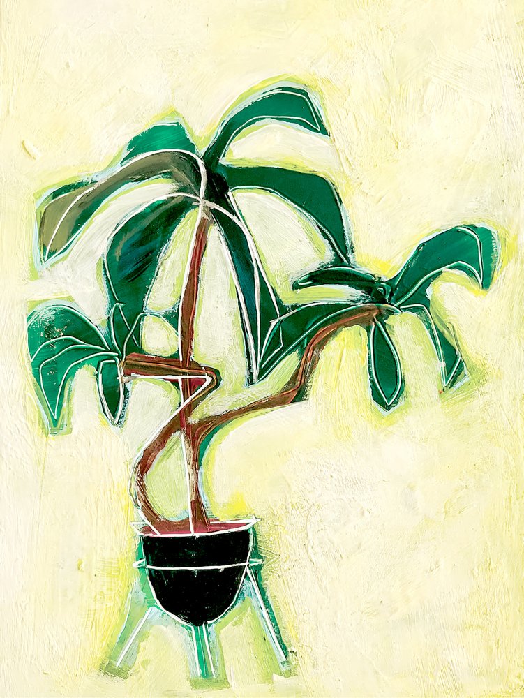 Plante en pot moderne - Sarah Fitzgerald