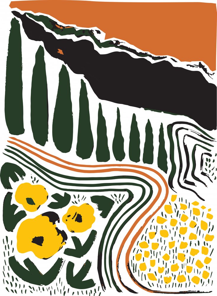 Paysage de cyprès de Toscane - Sarah Fitzgerald
