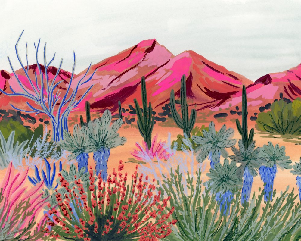 Panorama coloré du désert - Sarah Gesek