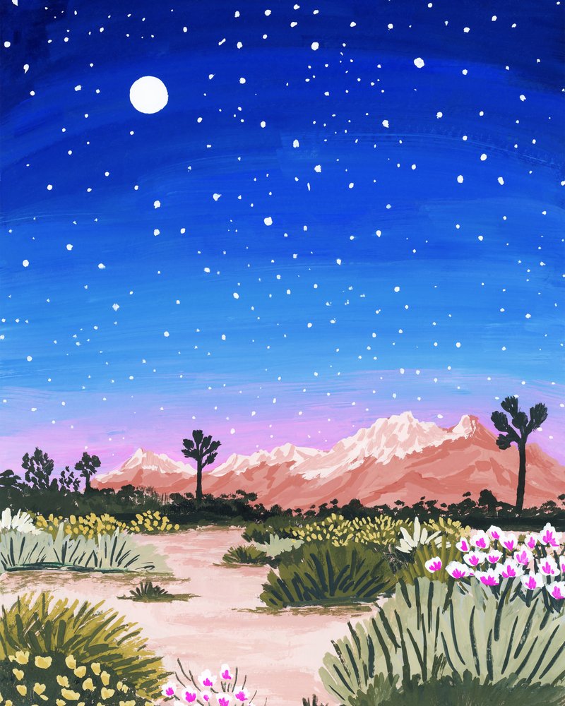 Nuit étoilée dans le désert - Sarah Gesek