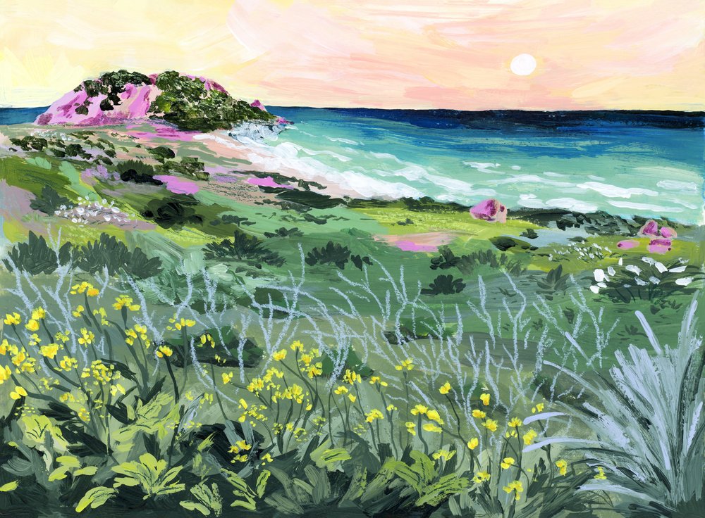 Coucher de soleil sur la Côte Sauvage - Sarah Gesek