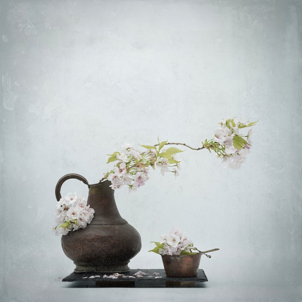 Nature morte aux fleurs de cerisier - Saskia Dingemans