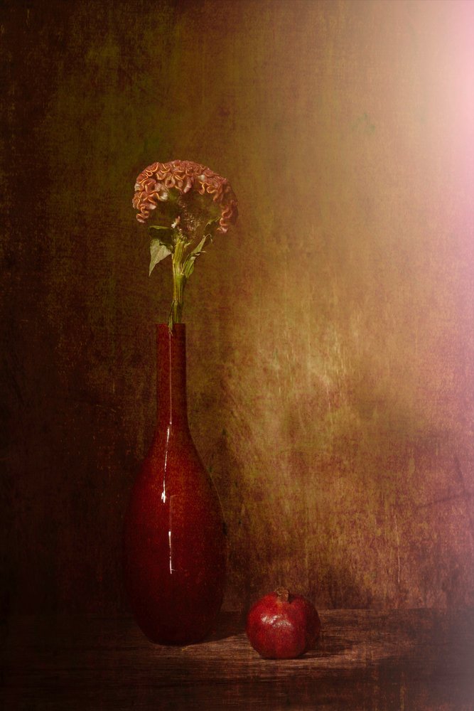 Une nature morte sombre s
