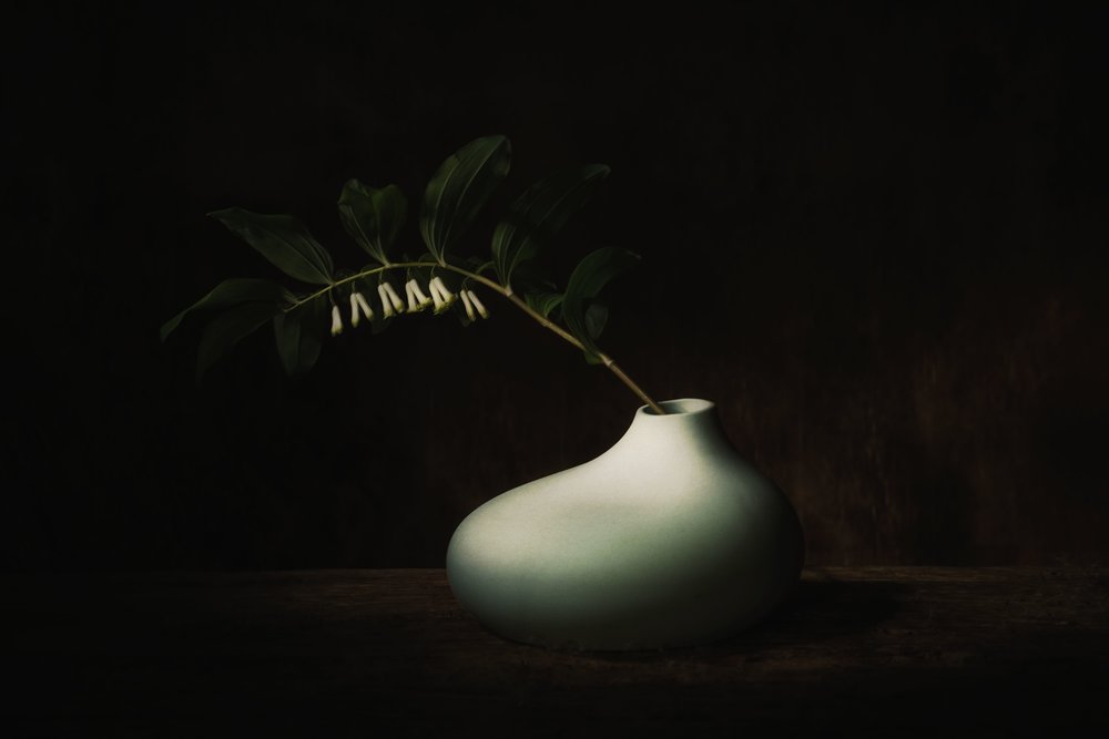 Nature morte sombre aux fleurs délicates - Saskia Dingemans