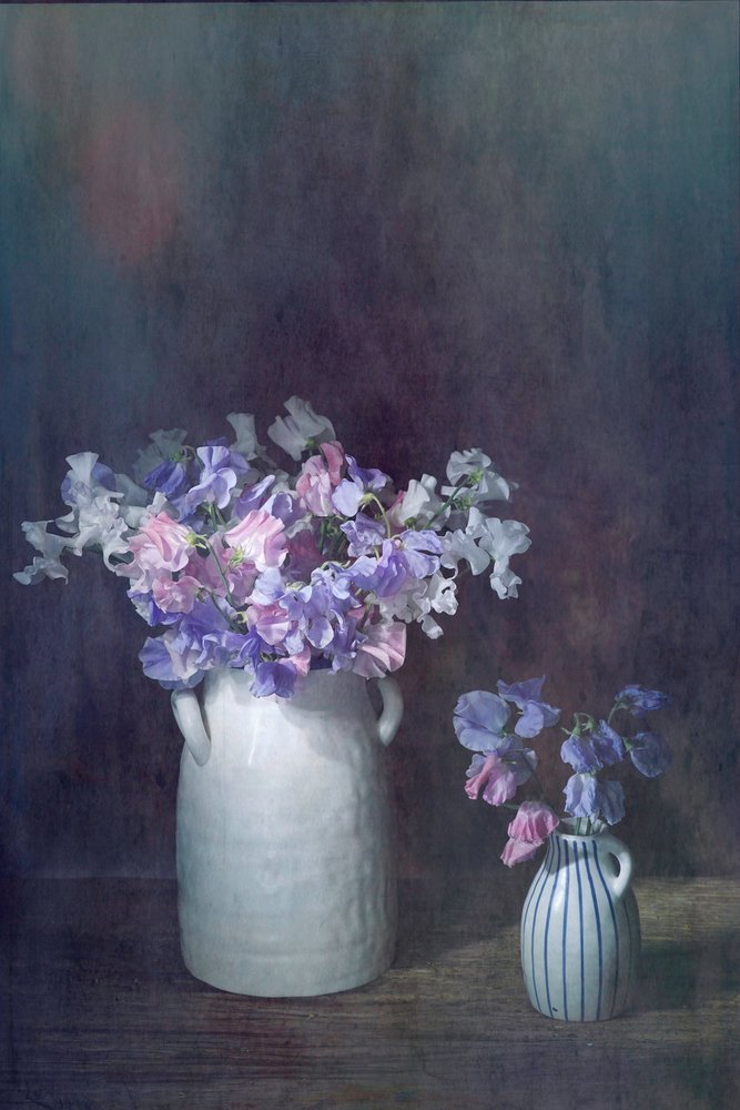 Pois de senteur délicats - Saskia Dingemans