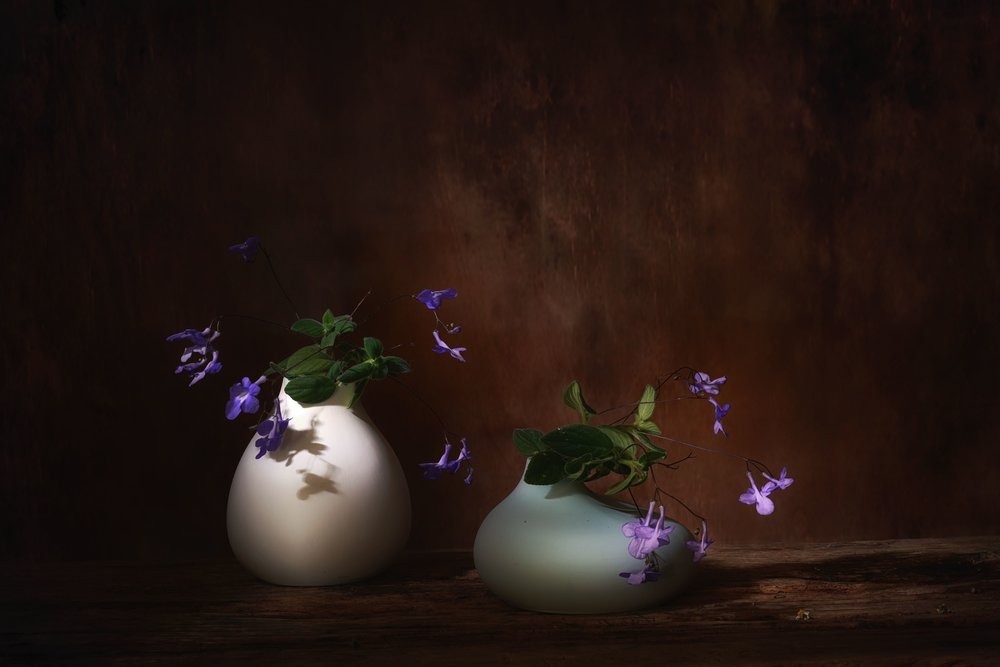 Fleurs violettes flottantes - Saskia Dingemans