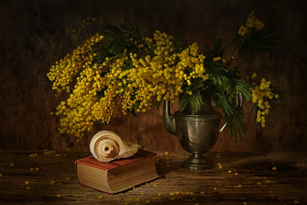 Nature morte au mimosa doré - Saskia Dingemans