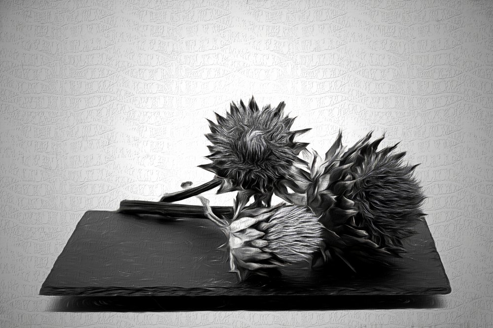Nature morte monochrome à l