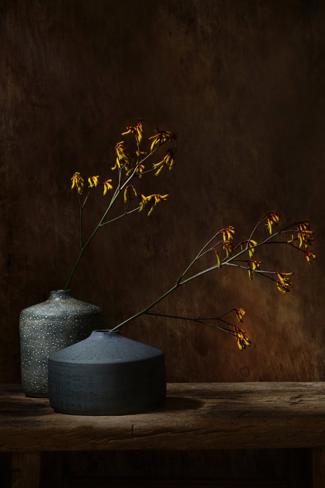 Vases botaniques Moody - Saskia Dingemans