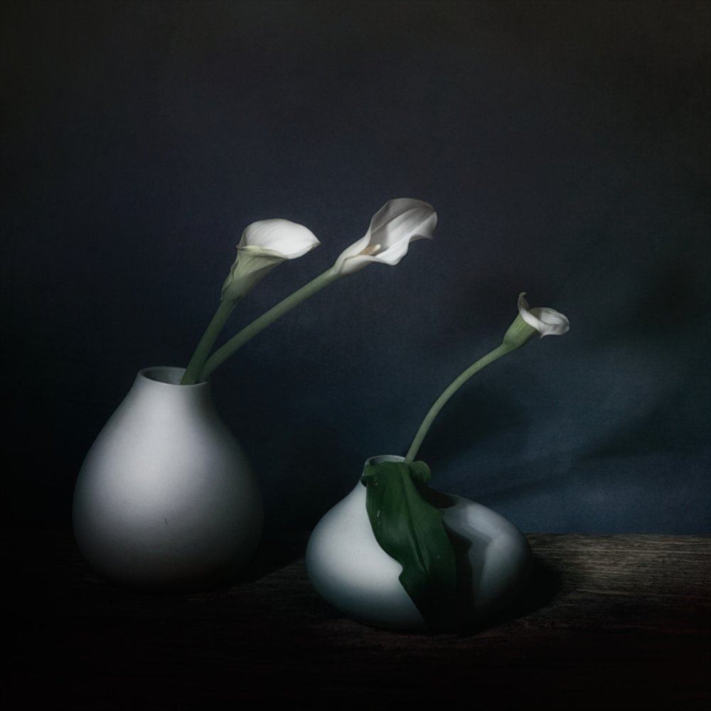 Fleurs de calla « Moody » - Saskia Dingemans
