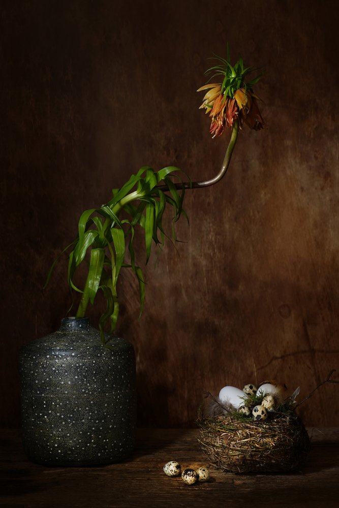 Nid floral « Moody » - Saskia Dingemans